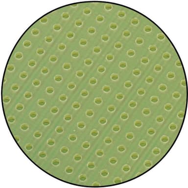 Camelion - 12050544