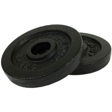 Tunturi Vægtskive Støbejern - 1,25 kg