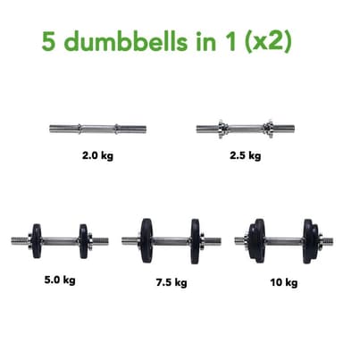 Tunturi Vægtskive Støbejern - 1,25 kg