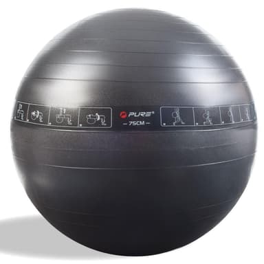Pure2Improve Exercise Ball