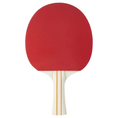 STIGA Bat 1-Star Evolve