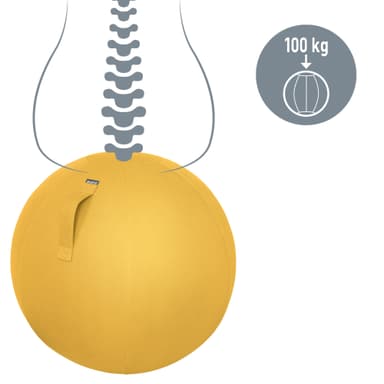 Leitz Ergo Cosy Active balancebold