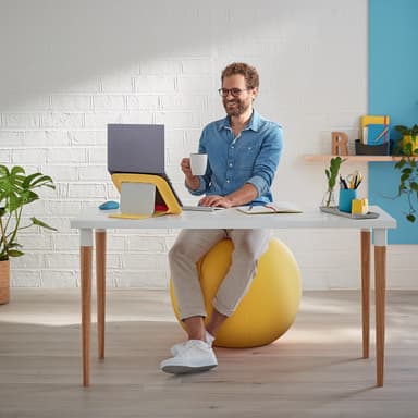 Leitz Ergo Cosy Active balancebold