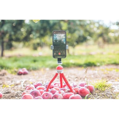 JOBY Bordstativ Smartphone Kit Podzilla Medium Rød