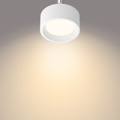 Philips Bracia spotlys 5,5 W