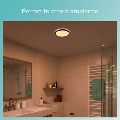 Philips Doris loftslampe 6W