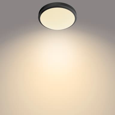 Philips Doris loftslampe 6W