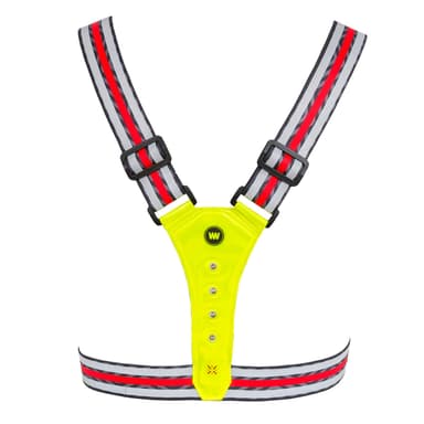 WOWOW Endurance Belt