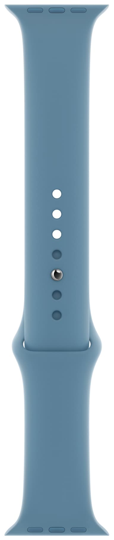 Apple 44mm sportsrem (northern blue)