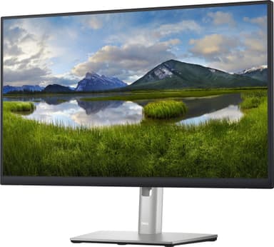 Dell P2423DE 23,8" skærm