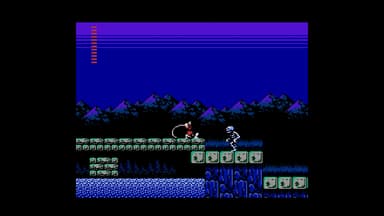 Castlevania Anniversary Collection - PC Windows
