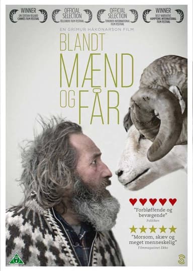 BLANDT MÆND OG FÅR (DVD)