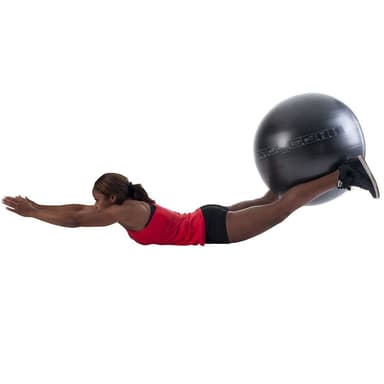 Pure2Improve Exercise Ball