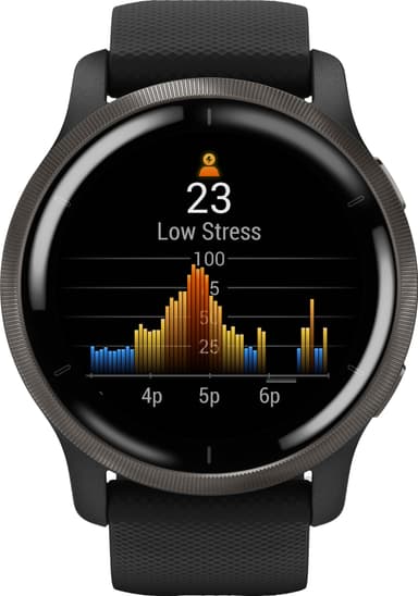 Garmin Venu 2 GPS smartwatch (black slate)