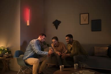 Philips Hue Liane stemningsvæglampe 12W 24V (hvid)