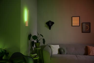 Philips Hue Liane stemningsvæglampe 12W 24V (hvid)