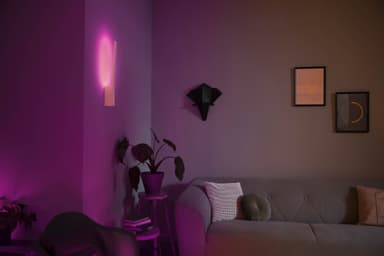 Philips Hue Liane stemningsvæglampe 12W 24V (hvid)