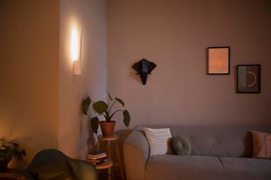 Philips Hue Liane stemningsvæglampe 12W 24V (hvid)
