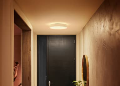 Philips Hue Enrave M loftslampen (hvid)