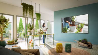 LG 55" QNED 86 4K QNED TV (2023)