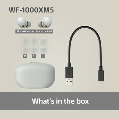 Sony WF-1000XM5 True Wireless in-ear høretelefoner (sølv)