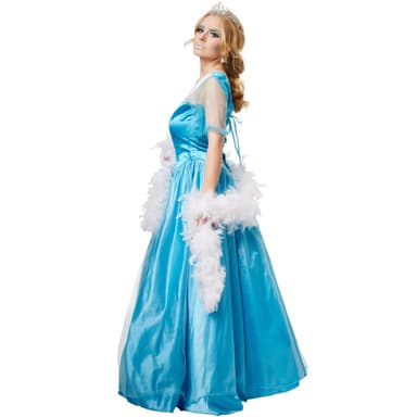Isprinsesse kostume - XXL