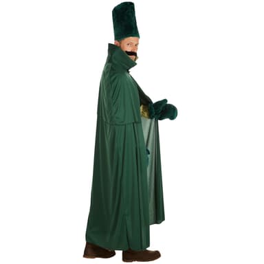 Troldmand fra skoven kostume - L