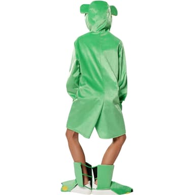 Børnekostume Frø - 116 (5-6y)