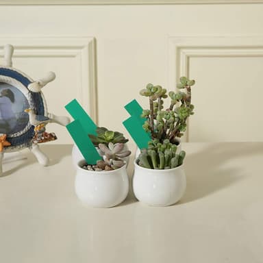Vandafvisende plantemærker / planteskilte med huller PVC 100-pak