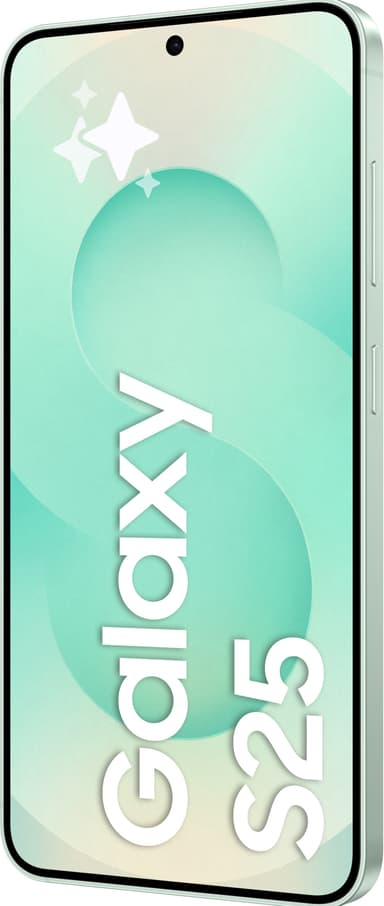 Samsung Galaxy S25 5G smartphone 12/256GB (Mint)