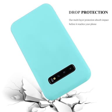 Cover Samsung Galaxy S10 PLUS Etui Case (Blå)