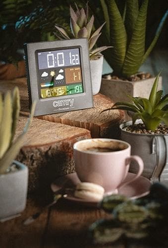 Camry Premium vejrstation med farvedisplay