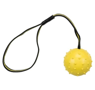 Legetøj til hunde Sportsbold på rem, naturgummi, ø 6 × 35 cm