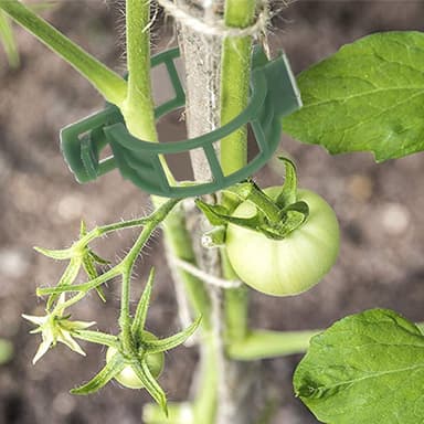 Planteklemmer til plantestøtte/espalier 100-pak Grøn