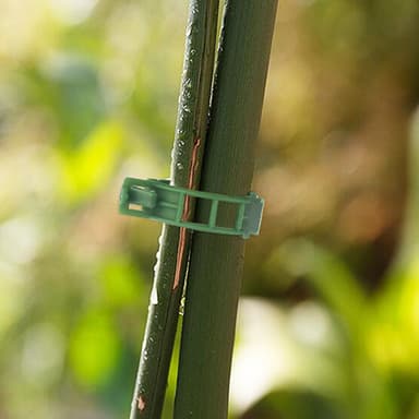 Planteklemmer til plantestøtte/espalier 100-pak Grøn