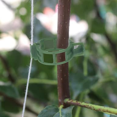 Planteklemmer til plantestøtte/espalier 100-pak Grøn