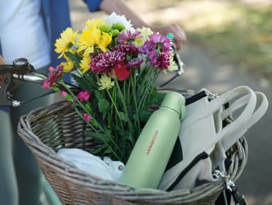 Sodastream Fizz & GO karboneringsflaske 1062402980 (mint)