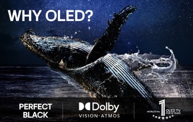 LG 55" C5 4K OLED evo TV (2025)